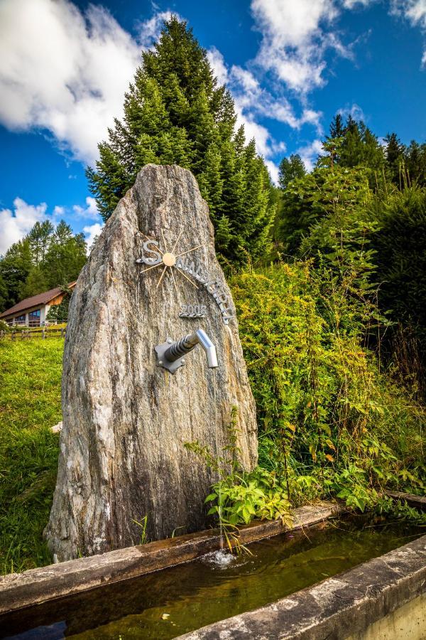 Binderhof Lägenhet Weisspriach Exteriör bild
